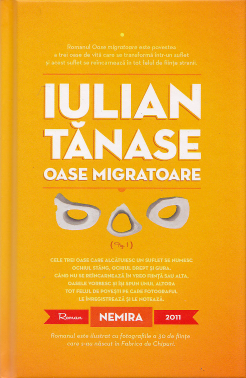 Oase migratoare - Iulian Tanase