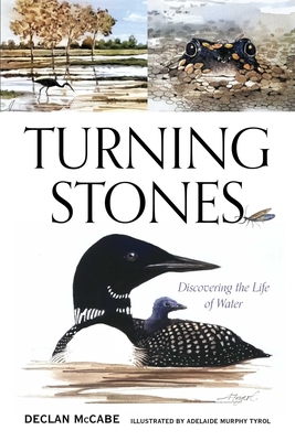 Turning Stones: Discovering the Life of Water - Declan Mccabe
