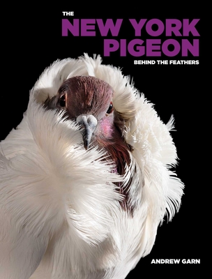 The New York Pigeon - Andrew Garn