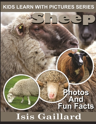 Sheep: Photos and Fun Facts for Kids - Isis Gaillard