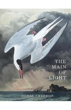 Coperta cărții 'The Main Of Light: Common Ground and Dividing Lines in the Teachings of Jiddu Krishnamurti and Buddhism - Donal Creedon'