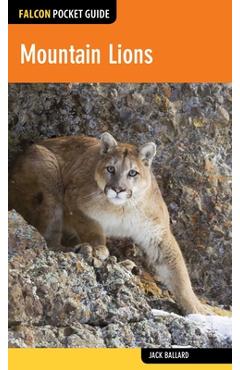 Poza produsului Mountain Lions - Jack Ballard