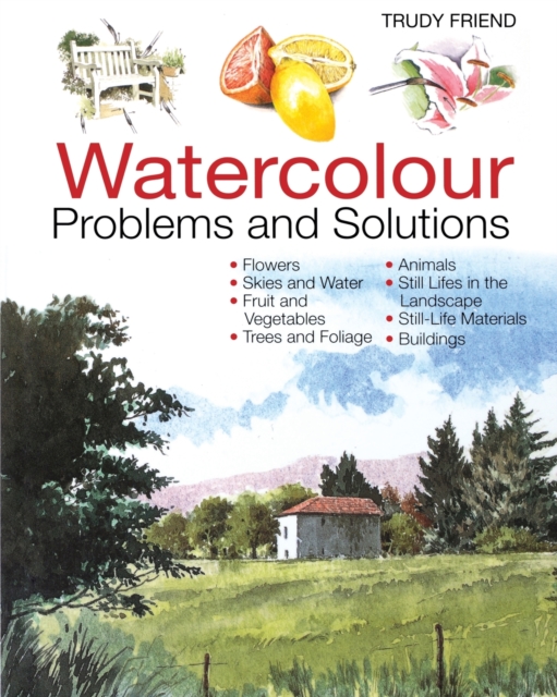 Watercolour Problems and Solutions: A Trouble-Shooting Handbook - Trudy Friend