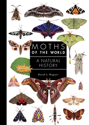 Moths of the World: A Natural History - David Wagner