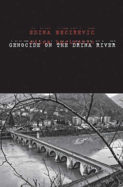 Genocide on the Drina River - Edina Becirevic