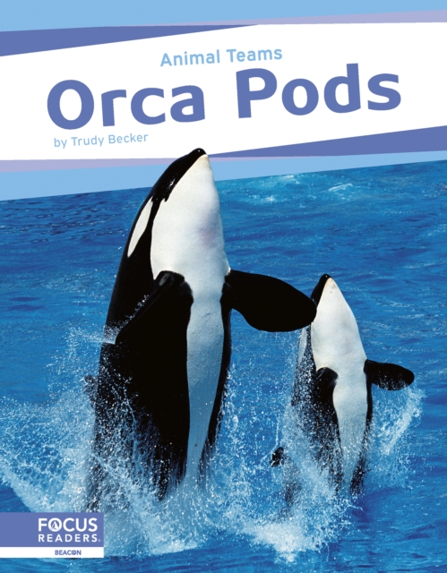 Orca Pods - Trudy Becker