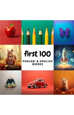 Coperta cărții 'First 100 Punjabi & English Words - Aisling Heidary'