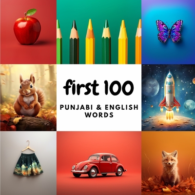 Coperta cărții 'First 100 Punjabi & English Words - Aisling Heidary'