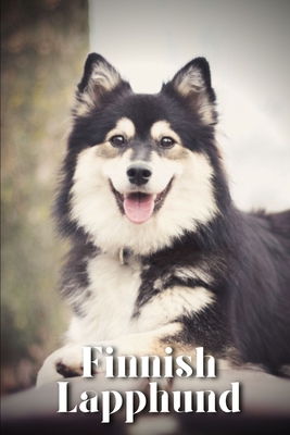 Coperta cărții 'Finnish Lapphund: Dog breed overview and guide - Nina Pustova'