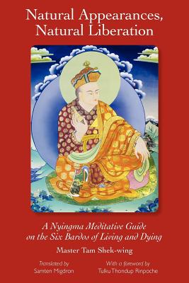 Natural Appearances, Natural Liberation - Shek-wing Tam