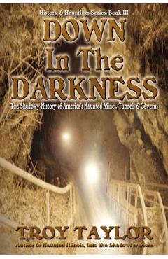 Down in the Darkness - Troy Taylor