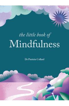 The Little Book of Mindfulness - Patrizia Collard