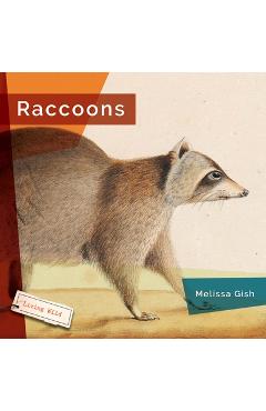 Coperta cărții 'Raccoons - Melissa Gish'