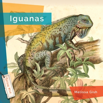 Iguanas - Melissa Gish