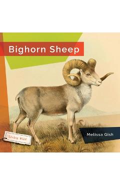 Coperta cărții 'Bighorn Sheep - Melissa Gish'