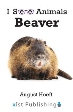 Coperta cărții 'Beaver - August Hoeft'