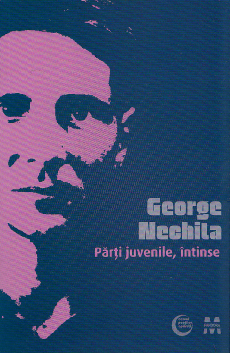 Parti juvenile, intinse - George Nechita