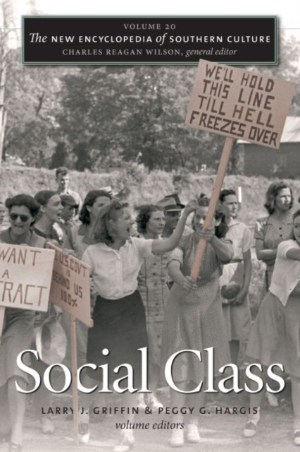 The New Encyclopedia of Southern Culture: Volume 20: Social Class - Larry J. Griffin