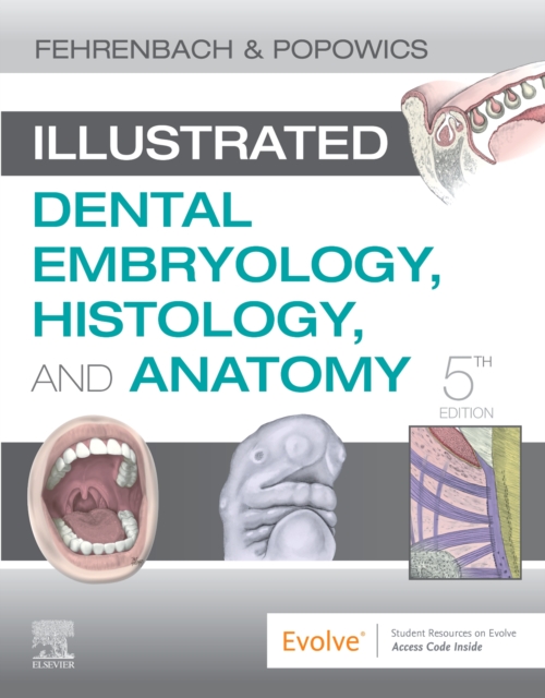 Illustrated Dental Embryology, Histology, and Anatomy - Margaret J. Fehrenbach