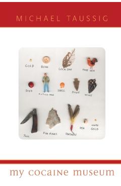 Coperta cărții 'My Cocaine Museum - Michael Taussig'