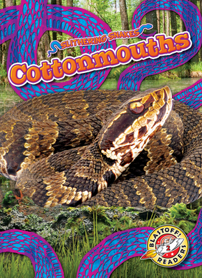 Cottonmouths - Joanne Mattern