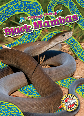 Black Mambas - Joanne Mattern