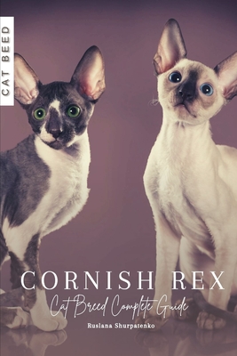 Cornish Rex: Cat Breed Complete Guide - Ruslana Shurpatenko