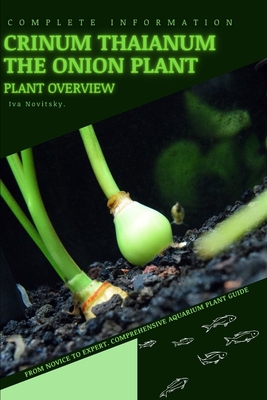 Crinum Thaianum The Onion Plant: From Novice to Expert. Comprehensive Aquarium Plants Guide - Iva Novitsky