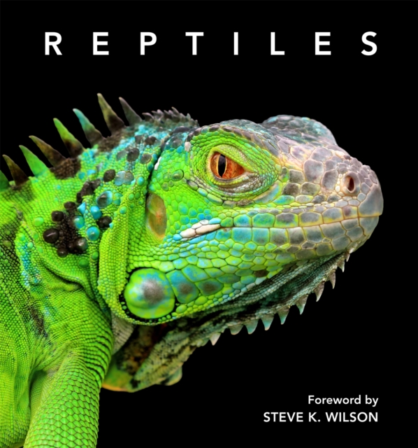 Reptiles - Steve Wilson