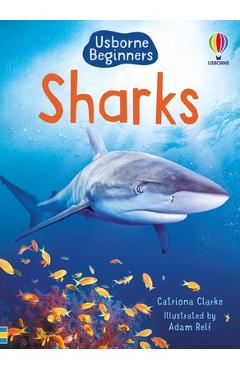 Coperta cărții 'Sharks - Catriona Clarke'