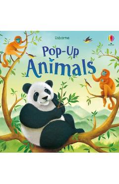 Coperta cărții 'Pop-Up Animals - Anna Milbourne'