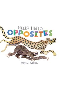 Hello Hello Opposites - Brendan Wenzel