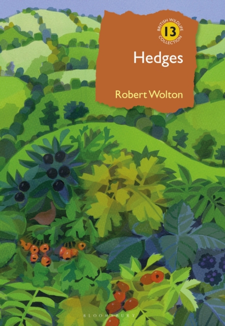 Hedges - Robert Wolton