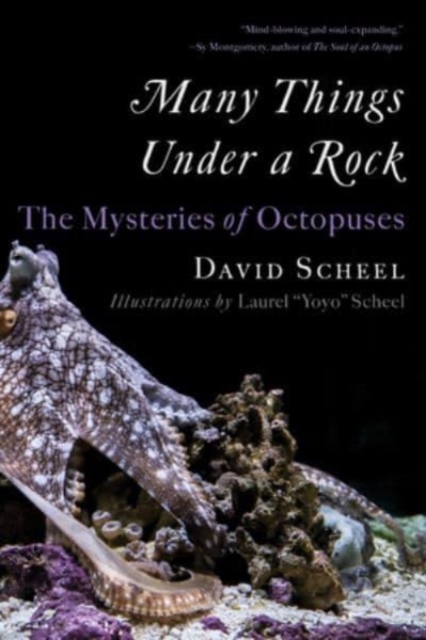 Many Things Under a Rock: The Mysteries of Octopuses - David Scheel