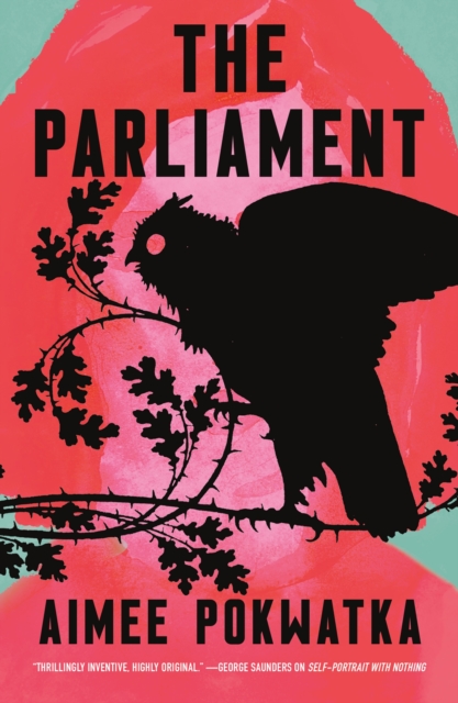 The Parliament - Aimee Pokwatka