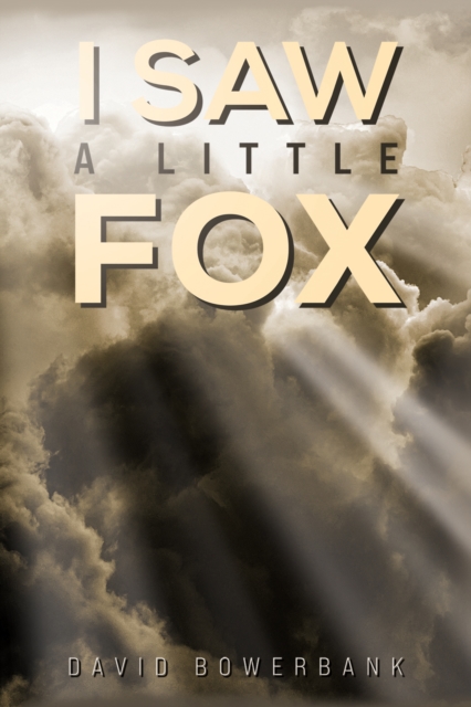 I Saw a Little Fox - David Bowerbank