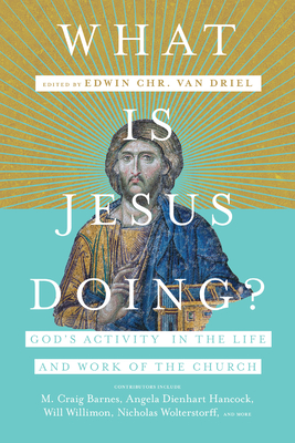 What Is Jesus Doing?: God's Activity in the Life and Work of the Church - Edwin Chr Van Driel