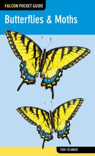 Butterflies & Moths - Todd Telander