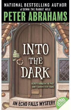 Coperta cărții 'Into the Dark - Peter Abrahams'
