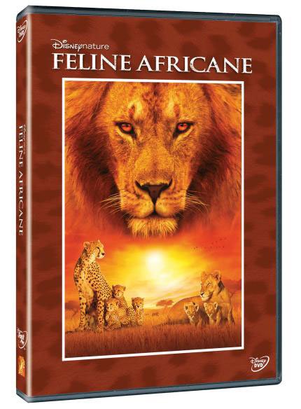 DVD Feline Africane