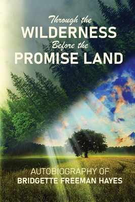 Through the Wilderness Before the Promise Land - Bridgette Freeman-hayes