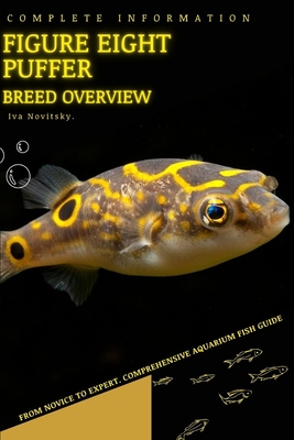 Figure eight puffer: From Novice to Expert. Comprehensive Aquarium Fish Guide - Iva Novitsky