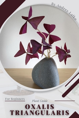 Oxalis triangularis: Plant Guide - Andrey Lalko