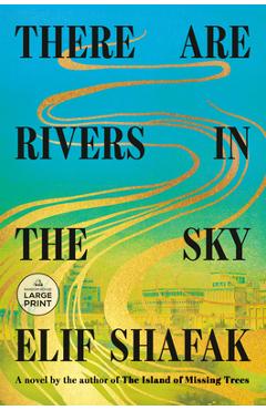Poza produsului There Are Rivers in the Sky - Elif Shafak