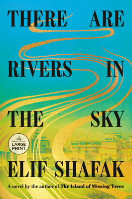 There Are Rivers in the Sky - Elif Shafak