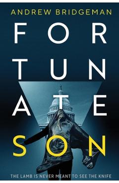 Poza produsului Fortunate Son - Andrew Bridgeman