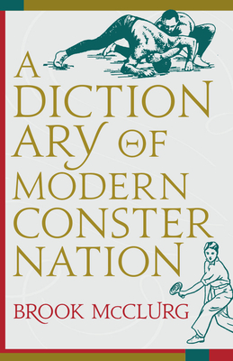 A Dictionary of Modern Consternation - Brook Mcclurg