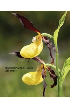 Coperta cărții 'How to Draw Wild Flowers (Replica Edition) - Vere Temple'