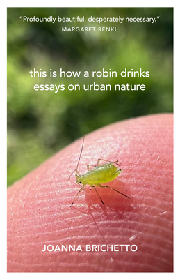 This Is How a Robin Drinks: Essays on Urban Nature - Joanna Brichetto