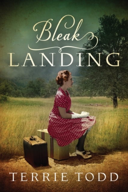 Bleak Landing - Terrie Todd